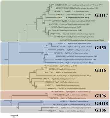 Characterization of a Novel α-Neoagarobiose Hydrolase Capable of Preparation of Medium- and Long-Chain Agarooligosaccharides